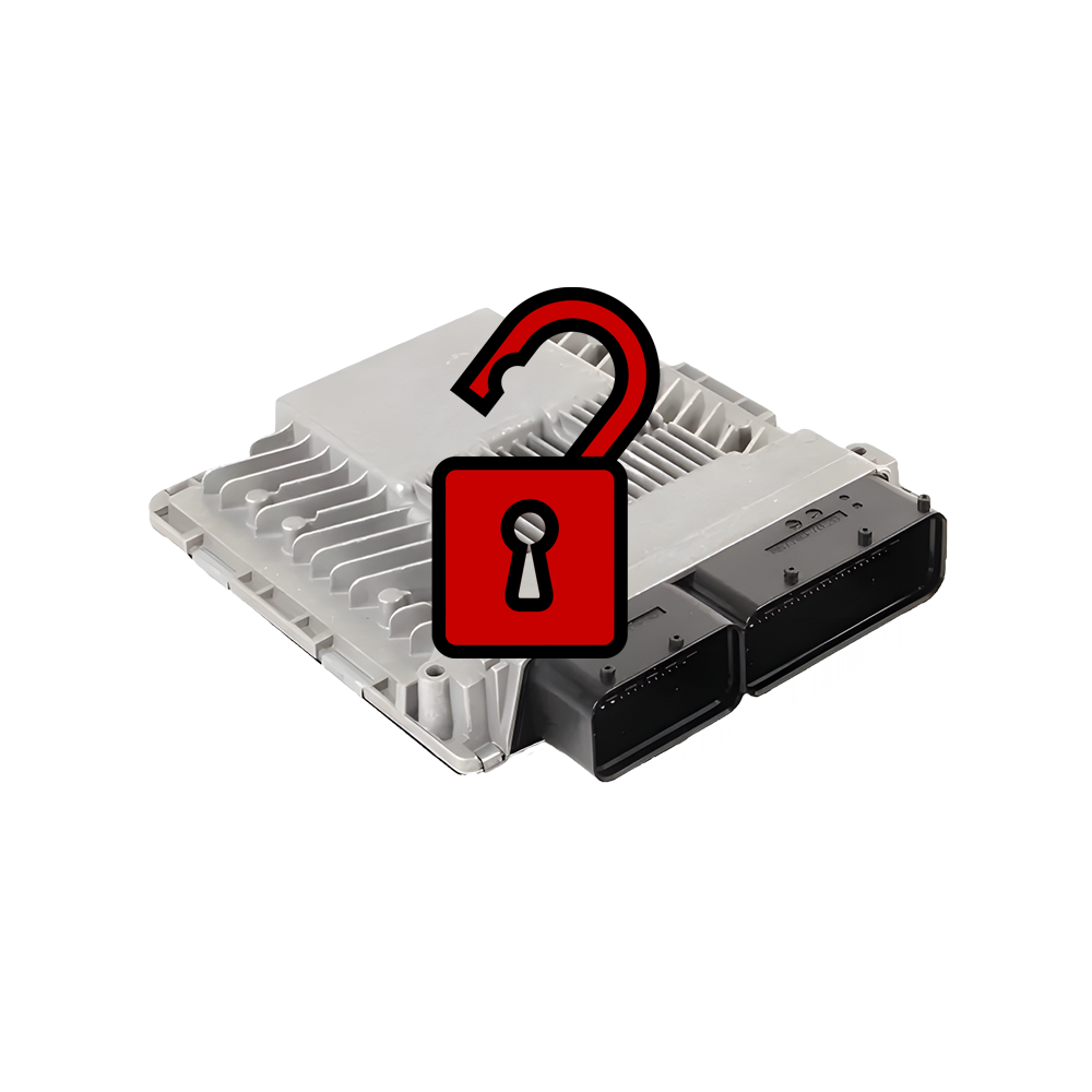 Audi - Immobilizer Delete (IMMO OFF) - IMMO2 IMMO3 IMMO4 IMMO5